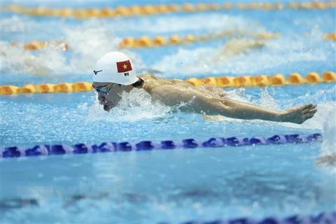 越南10名游泳运动员赴日本参加世游泳锦标赛
