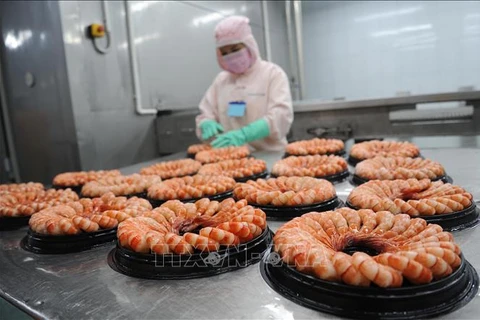 越南虾业稳定生产 迎来复苏机会