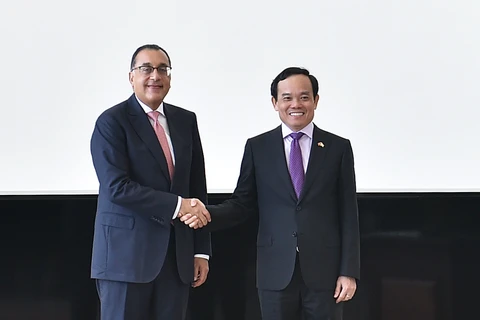 越南政府副总理陈流光与埃及总理穆斯塔法·马德布利举行会谈