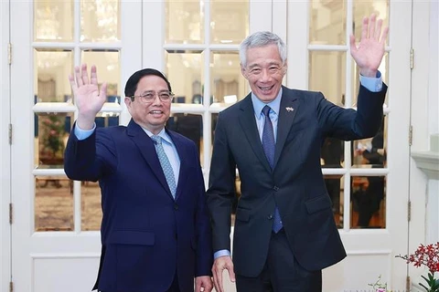 越南与新加坡建交50周年：梅福勇大使认为两国关系处于极为良好阶段