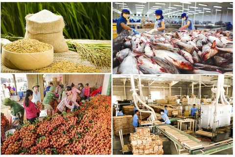 越南前7月农林水产品出口291.3亿美元，实现贸易顺差近60亿美元