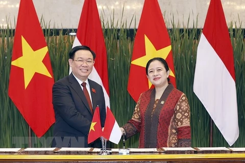 印尼媒体：印尼与越南的关系“就像东盟中的兄弟”