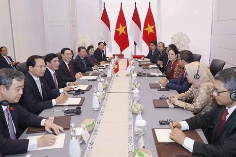 越南国会主席王廷惠与印尼国会议长普安·马哈拉尼举行会谈