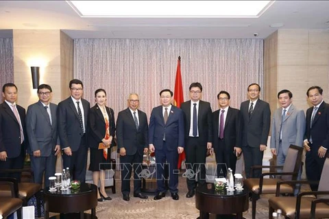 越南国会主席王廷惠会见印尼-越南友好协会主席