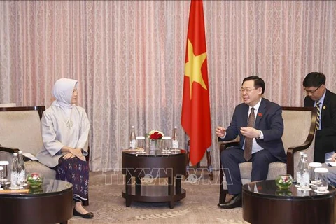 越南国会主席王廷惠会见印尼财政稽查署署长