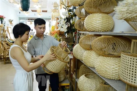 越南中小型企业对接项目落地见效