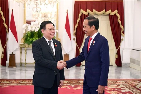 越南国会主席王廷惠会见印尼总统佐科·维多多
