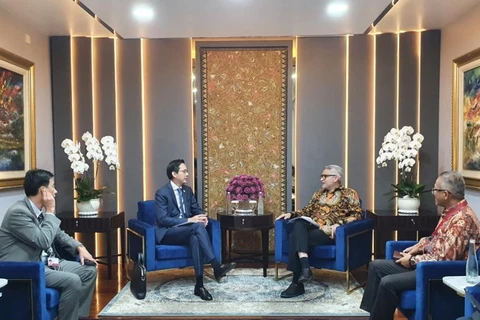 加强越南和印度尼西亚两国外交部合作