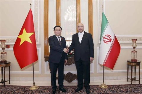 越南国会主席王廷惠与伊朗议会议长卡利巴夫举行会谈