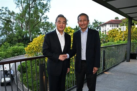 中国与新加坡推动多领域上的双边合作
