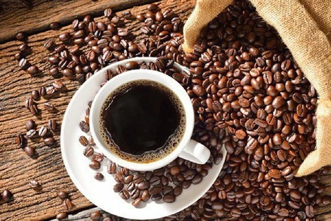 今年7月份越南咖啡出口价格创历史新高 