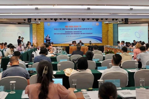 国际专家与越南分享数据生态系统管理经验
