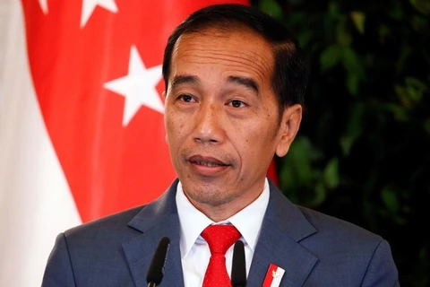 印尼总统提出实现“2045年黄金印尼愿景”的各项战略