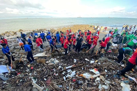 巴地头顿省：志愿者和游客参与清理海滩垃圾活动