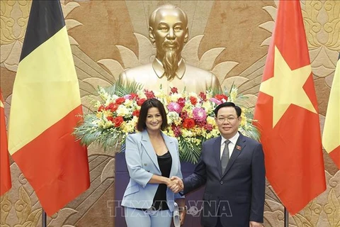 越南国会主席王廷惠与比利时参议院议长斯蒂芬妮·德霍斯举行会谈