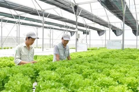 澳大利亚向越南农业创新项目提供援助