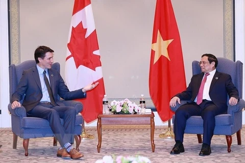 加拿大驻越南大使肖恩·佩里·斯泰尔：越南与加拿大关系实现“跨越式发展”