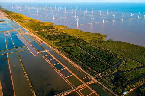 越南促进应对气候变化的国际合作
