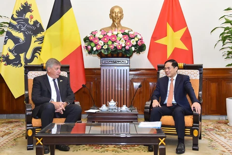 越南外交部长裴青山会见比利时法兰德斯大区首席大臣让·让邦