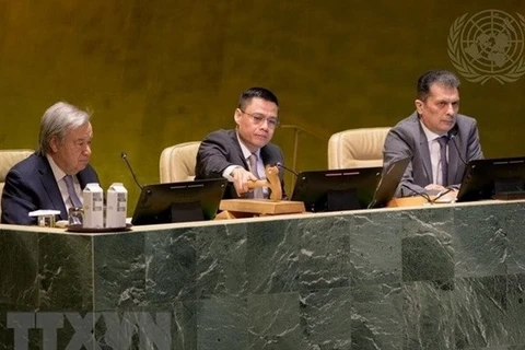 邓黄江大使：越南积极主动和更加有效地参加联合国的共同事务
