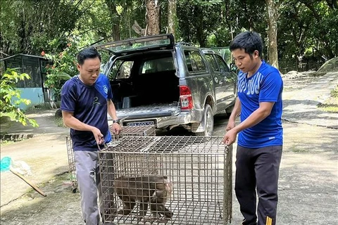 坚江省接收4只珍稀濒危野生动物