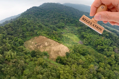 平福省落实应对《欧盟零毁林法案》的行动计划框架