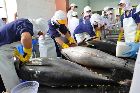 越南对美国和欧盟的金枪鱼出口额回升