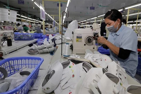 经济专家：巴西和越南之间的贸易增长潜力巨大