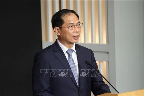 越南外长裴青山：范明政总理的访问取得实质性全面成果