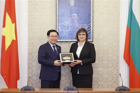 越南国会主席王廷惠会见保加利亚社会党和公民党-民主力量联盟