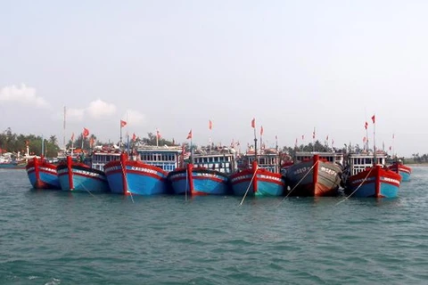 越南广义省坚决打击IUU捕捞行为