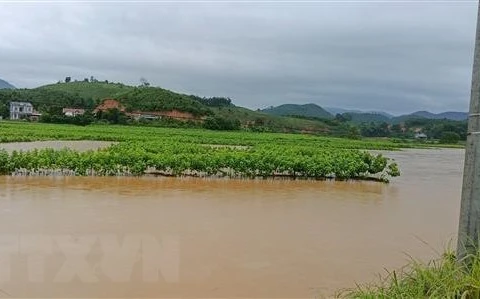 越南多地特大暴雨与洪灾爆发
