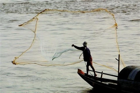 专家人士建议共享湄公河数据