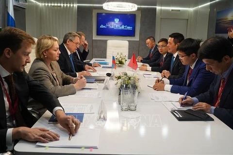 能源合作是越俄全面战略伙伴关系的支柱之一