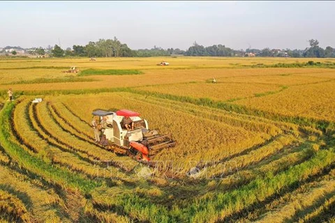 胡志明市充分利用现代科技提高土地利用效率积极推动农业可持续发展