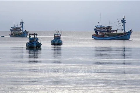 解除IUU“黄牌”：坚江省所有渔船均安装巡航监控设备