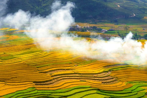 越南安沛省木江界诗情画意的田园风景吸引游客前来观赏 
