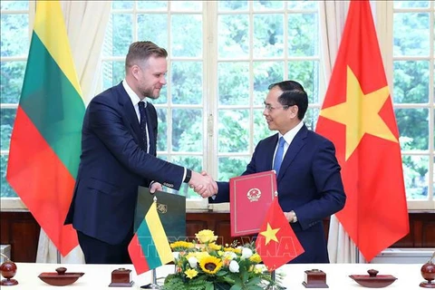 越南外交部长裴青山与立陶宛共和国外交部长举行会谈