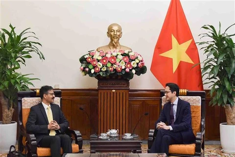 越南外交部副部长杜雄越会见联合国发展权特别报告员苏里亚·德瓦