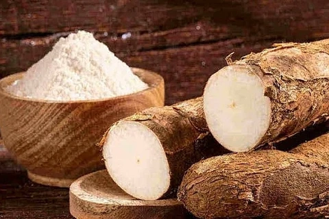 越南木薯及其制品出口总额超10亿美元