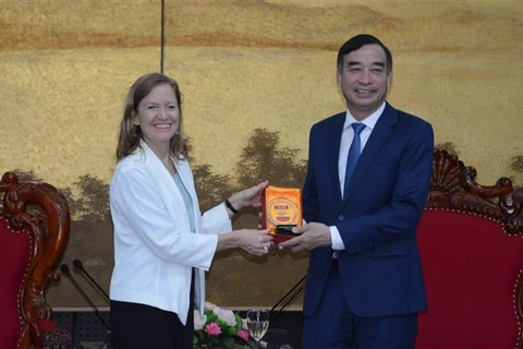 岘港与美国国际开发计划署加强在各领域的合作