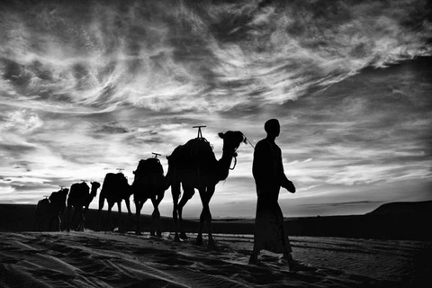 越南记者拍摄摩洛哥和古巴的照片荣获澳大利亚摄影奖5项大奖