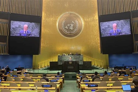 越南支持联合国安理会的改革