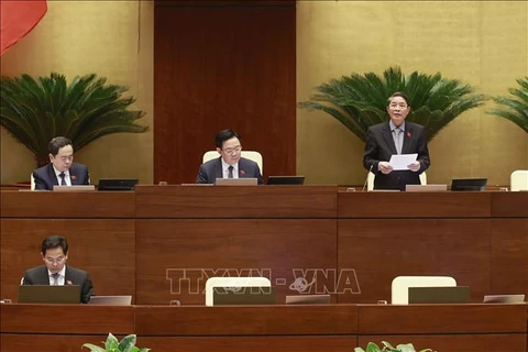 第十五届国会第六次会议：尽量减少对越南投资环境的不利影响