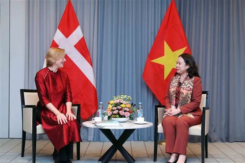 越南国家副主席武氏映春会见丹麦越南友好协会
