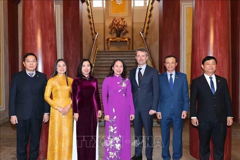 越南国家副主席武氏映春会见丹麦王储殿下弗雷德里克