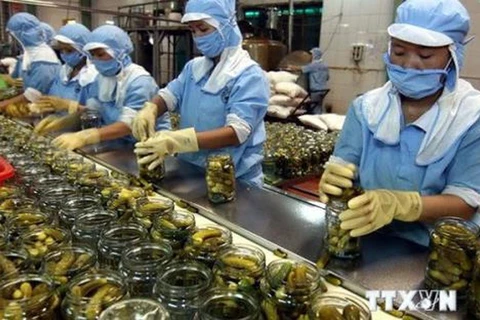 越南推动优势商品对非洲-中东的出口