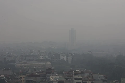 东亚酸沉降监测网第25次政府间会议在河内举行