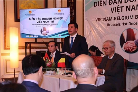 越南工贸部愿意支持越比企业界有效合作