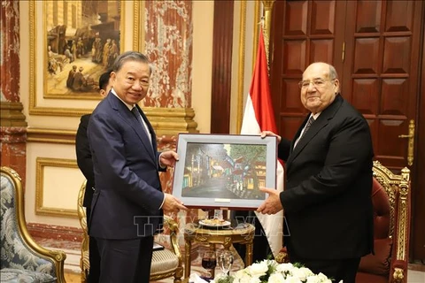 越南与埃及加强友谊与良好合作关系